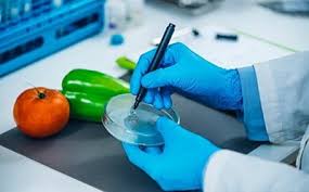 Food Safety and Chemical hero image
